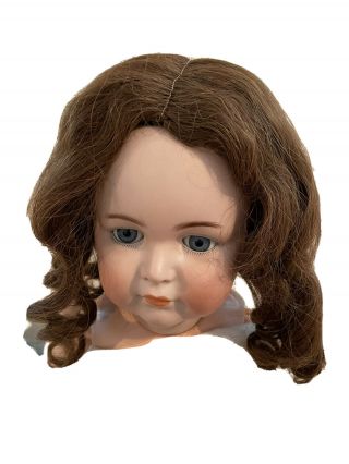 Antique French Medium Brown Human Hair Doll Wig Size 11” 2