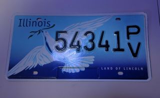 Illinois White Dove Graphic License Plate Il Land Of Lincoln