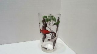 Vintage Tumbler Glasses Hunting Dogs and Ducks Set of 6 3