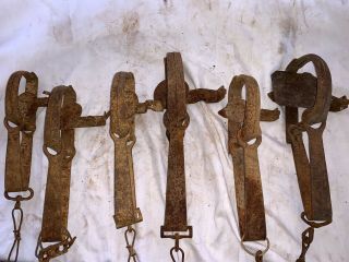 Six Vintage Victor And Other Long Spring Muskrat Traps Small Game Trapping