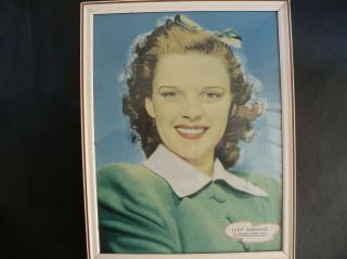 Vintage Judy Garland Young,  Picture. ,  Framed,  By Jack Albin
