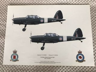 Squadron Print Raf Chipmunks Of The Battle Of Britain Memorial Flight