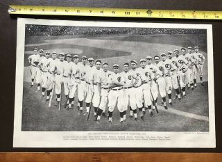 Chicago Cubs - National League Champions 1910 - Burke & Atwell Poster