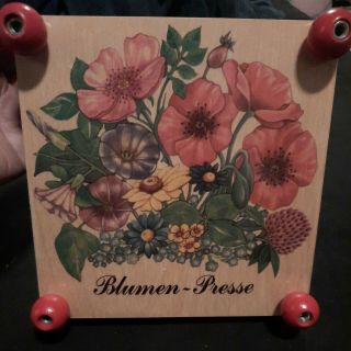 Vintage German Wooden Flower Press - 7.  5 " X7.  5 " - Blumen Presse