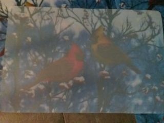 Vintage Placemats set of 4 Laminated Winter Cardinal Birds vinyl placements 3
