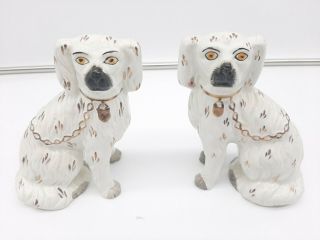 Pair Antique Staffordshire Pottery Spaniel Dog Mantle Figures 6 " Signed