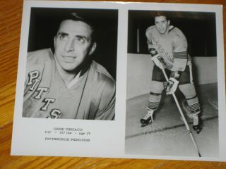 Undated 1967 Pittsburgh Penguins Greg Ubriaco Media Nhl Team Photograph Picture