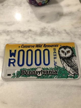 Pennsylvania Sample Conserve Wild Resources License Plate