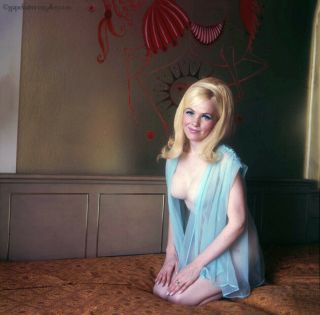 Bunny Yeager Estate 1960 Color Camera Transparency Pretty Blonde In Boudoir Fab