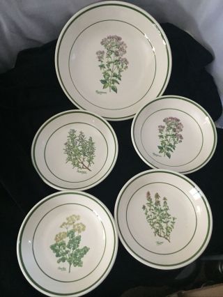 Cic Italy Ceramic Pasta Serving Bowls Green Band Herb Design Set Of 5 Vintage