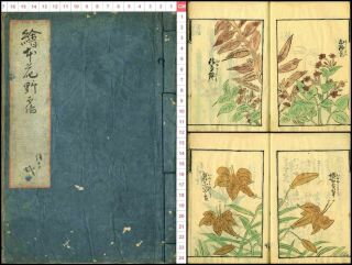 Hand Drawn Illustrated Flower Book Many Pictures Japanese Meiji Antique