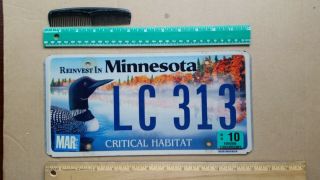 License Plate,  Minnesota,  Critical Habitat,  Wading Loon,  Lc 313