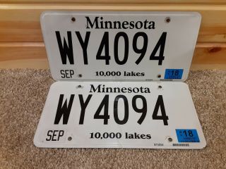 Minnesota Whiskey Expired License Plates (dui Dwi)