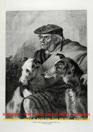 Dog Scottish Deerhound & Irish Wolfhound With Huntsman Large 1870s Antique Print