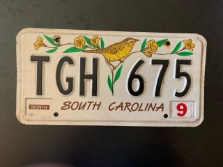 License Plate Vintage South Carolina Tgh 675 Rustic Usa