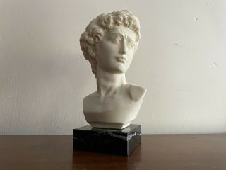 Vintage BUST OF DAVID MARBLE ALABASTER Statue Greek Roman Professor G.  Bessi 3
