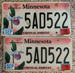 Minnesota License Plate Pair Critical Habitat Lady Slipper Flower