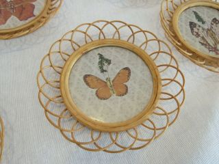 5 Vintage Butterfly Wicker Drink Coasters Rattan with Pressed Wings Boho Chic 3