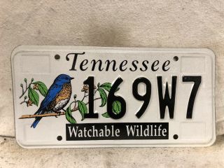Tennessee Watchable Wildlife License Plate