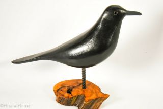 Jim Slack Songbird American Crow Signed By Artist Gh738