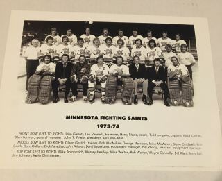 1973/74 Wha Minnesoto Fighting Saints Vintage Hockey Team Photo