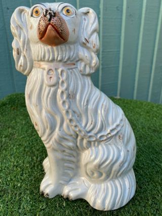Mid 19thc Staffordshire White & Gilt Spaniel Dog With Embossed No3 C1850s