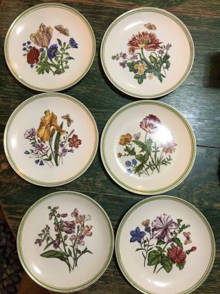 Vintage Portmeirion Botanic Garden Plates,  Set Of 6,  8.  25”