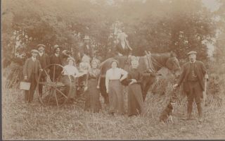Vintage Rp Card Of Family Outing,  Horse & Cart Possibly Near Honingham