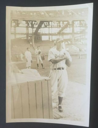 1941 Dolph Camilli Photo Brooklyn Dodgers Nl Mvp 1941 Chicago Cubs Mlb