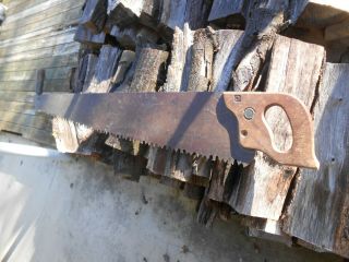 Eagle Antique Vintage Warranted Superior 1 - 2 Man Crosscut Logging Saw 42 " Blade.