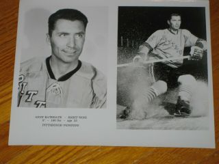 Undated 1967 Pittsburgh Penguins Andy Bathgate Media Nhl Team Photograph