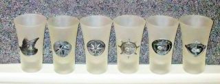 Princess Cruise Line 6 Different Pewter Emblem Souvenir Frosted Shot Glasses