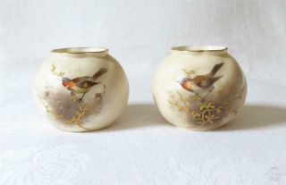 Good Pair Antique Early 20th Century Royal Worcester Porcelain Vases With Robins