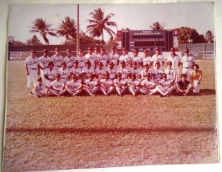 Vintage Puerto Rico Lobos De Arecibo Team Photo C.  1970s - 1980s 8in.  X 10 In.