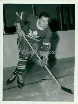 1960 - 61 Frank Mahovlich Maple Leafs Hockey Hof News Service Photo