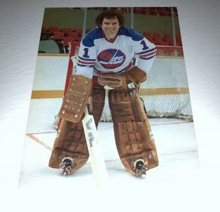 Joe Daley,  Winnipeg Jets 1977 - 78 Wha 8.  5 X 11 Photo