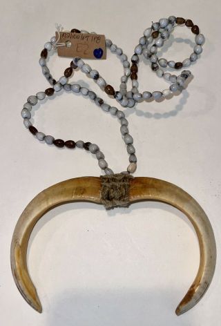 Papua Guinea Antique Sepik River Tribal Wild Boar Tusk Necklace Beads