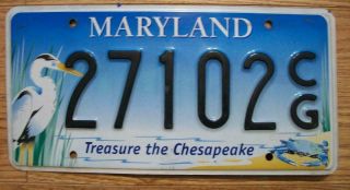 Single Maryland License Plate - 27102cg - Treasure The Chesapeake