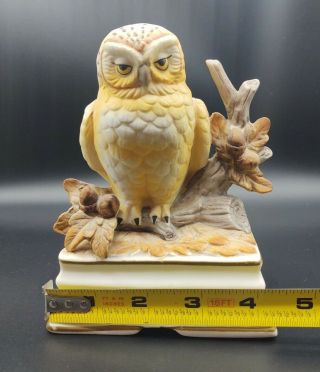 VTG Towle Fine Porcelain Wind - Up Music Box Musical Owl Figurine Made in Japan 3