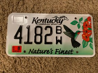 Kentucky License Plate Hummingbird Natures Finest 4182bw