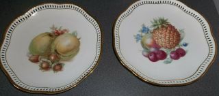 Vintage Schumann Arzberg Germany Decorative Fruit Salad Plates - Set Of Two