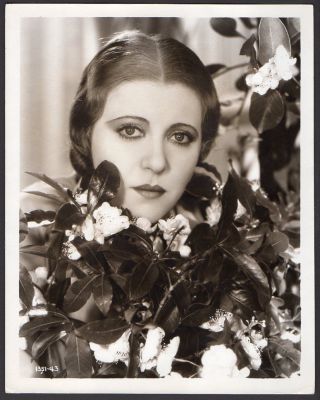 Actress Ruth Chatterton By Flowering Plant Or Shrub 1932 Vintage Orig Photo