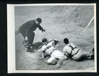 Bruce Edwards Dixie Howell Magerkurth 1947 Press Photo Brooklyn Dodgers Pirates
