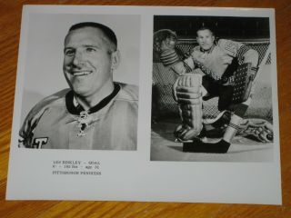 Undated 1967 Pittsburgh Penguins Les Binkley Media Nhl Team Photograph / Picture