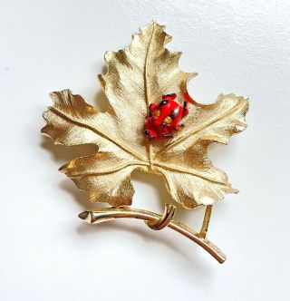 Vtg Sarah Coventry Gold Tone Lady Bug On Maple Leaf Brooch Signed 2 3/4 " H05