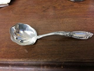 Towle Sterling Silver King Richard 7 - 1/4 " Solid Gravy Ladle