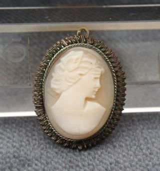 Antique Victorian Carved Cameo Muschel Lady Portrait Brooch Pin Neck Pendant Fob
