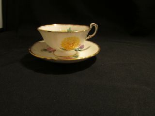 Vintage Paragon Cup And Saucer Pink Yellow Dahlias Gold Trim Bone China England