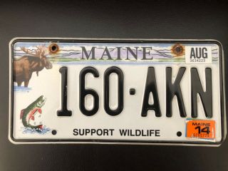 2014 Maine Support Wildlife Specialty License Plate