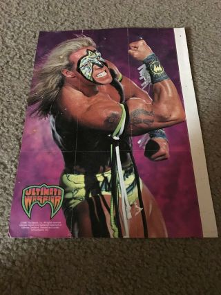 Vintage Wwf Trading Cards Uncut Sheet 1996 Ultimate Warrior 2 - Sided 1990s Rare